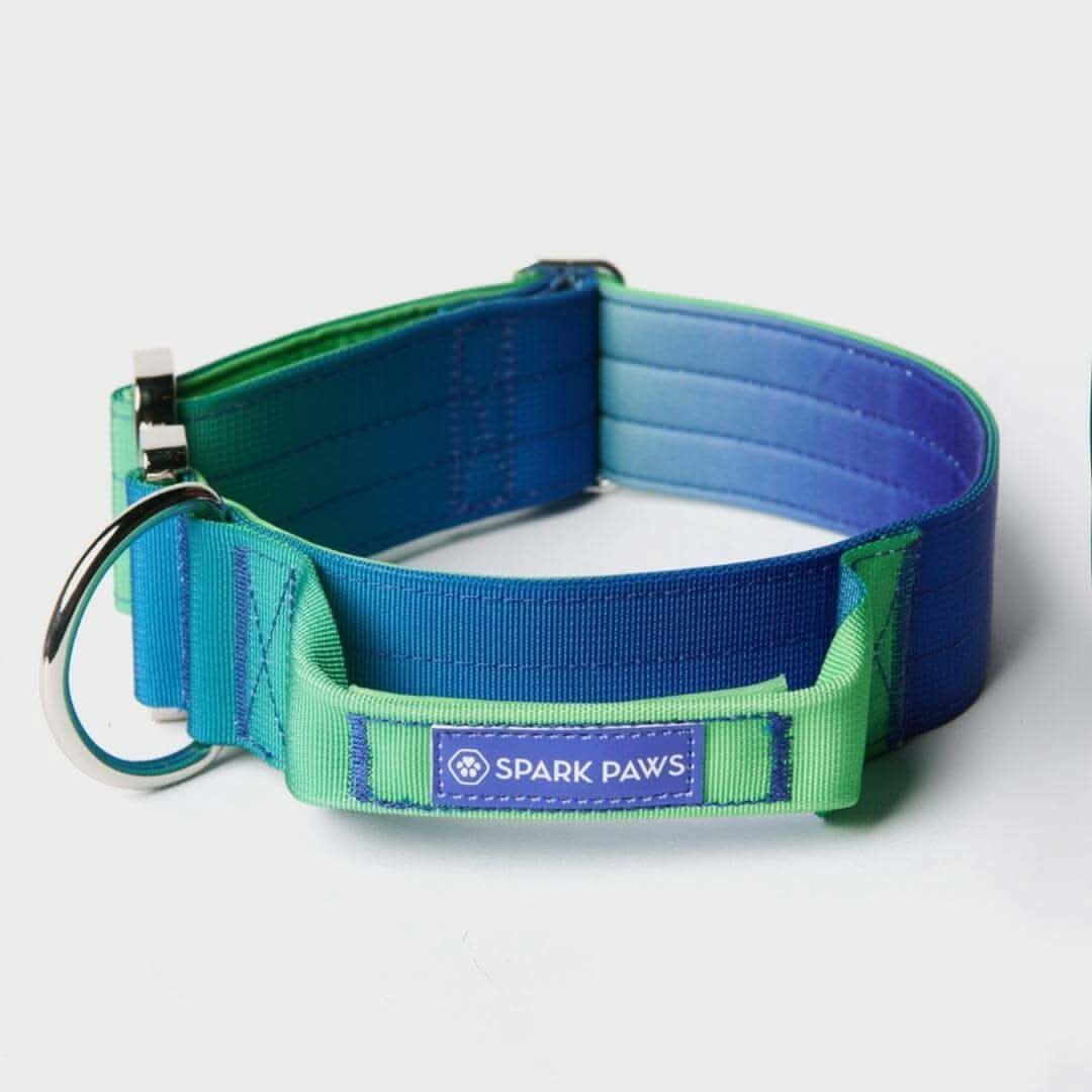 Comfort Control Dog Collars