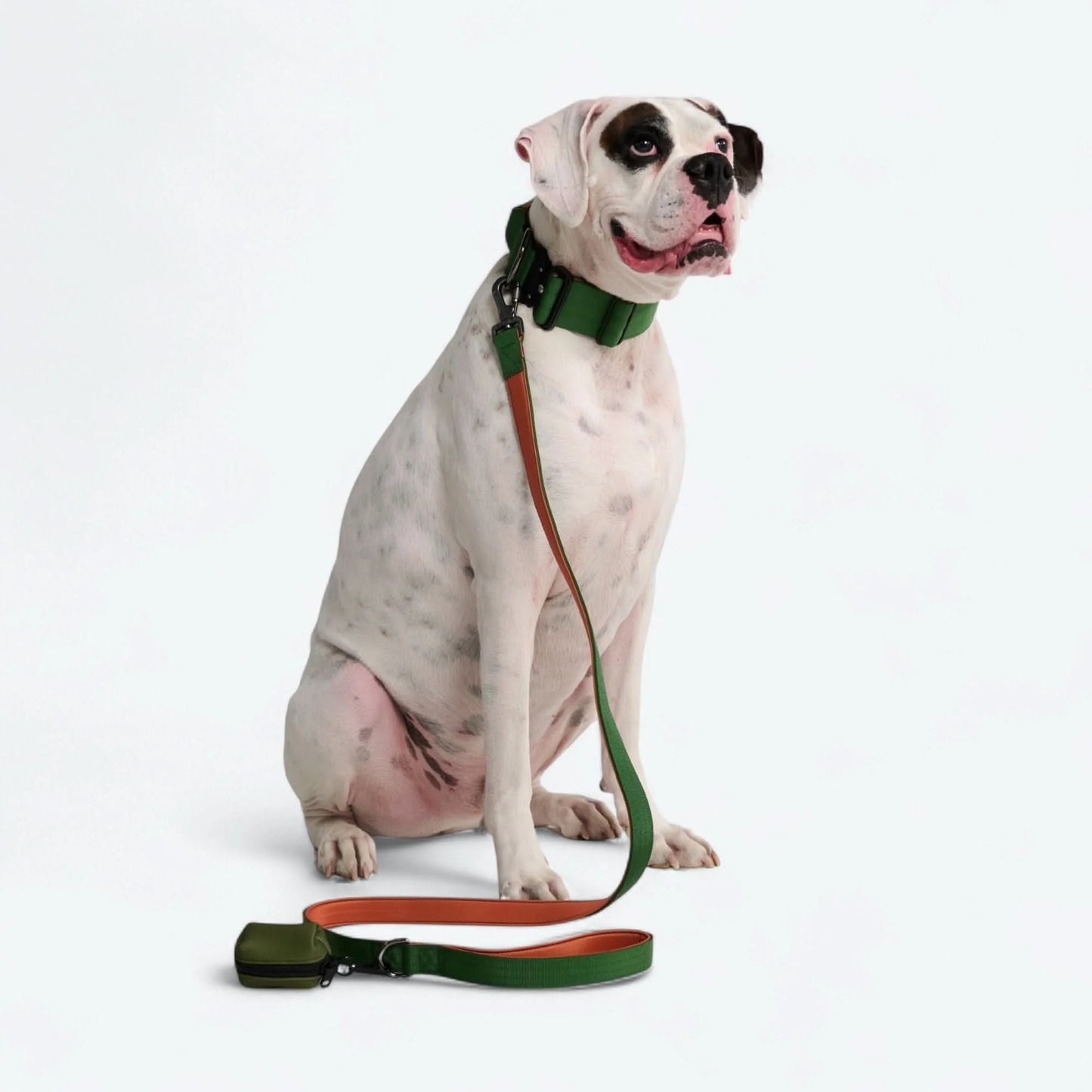 Leash and Poop Bag Holder Set