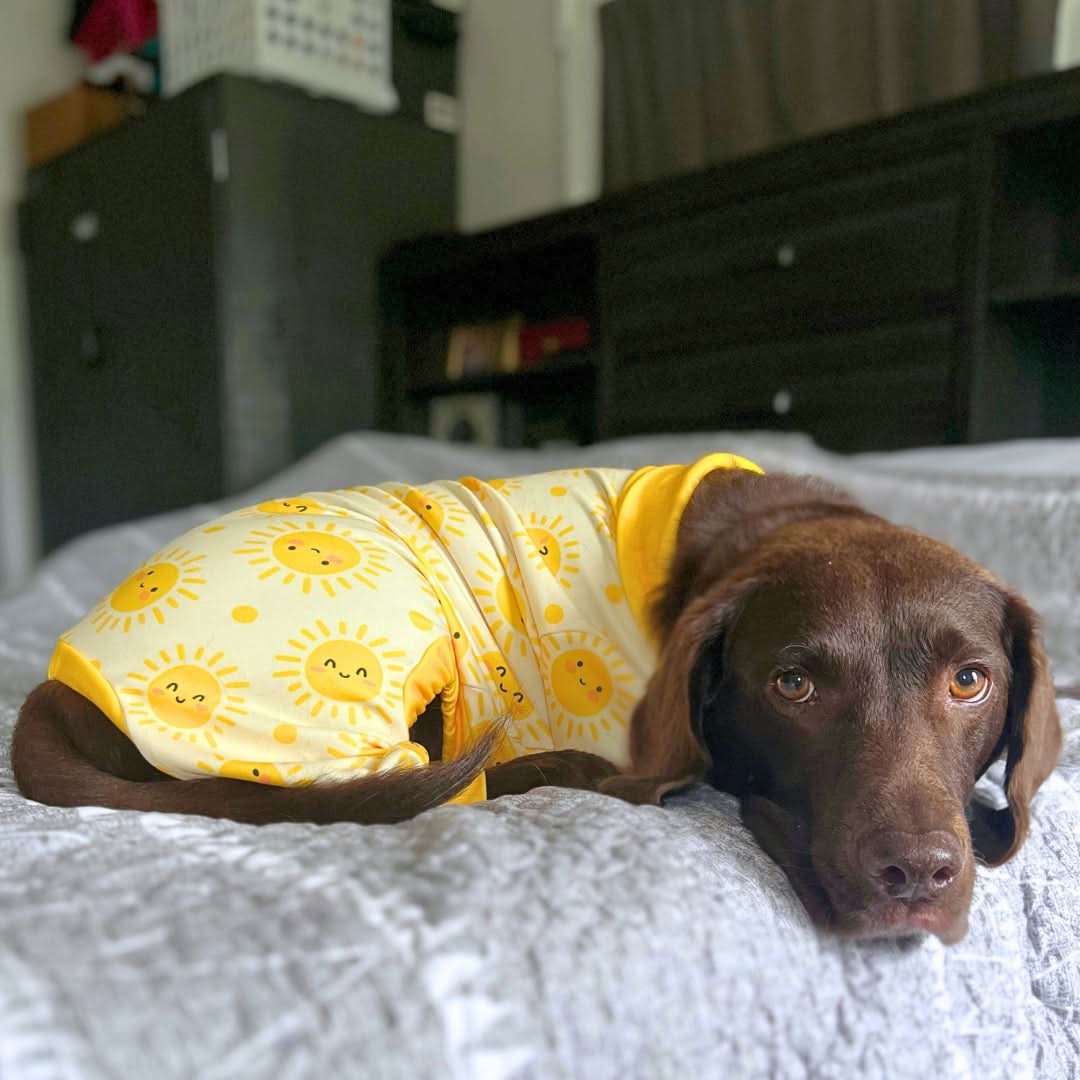 Dog Pajama Prints