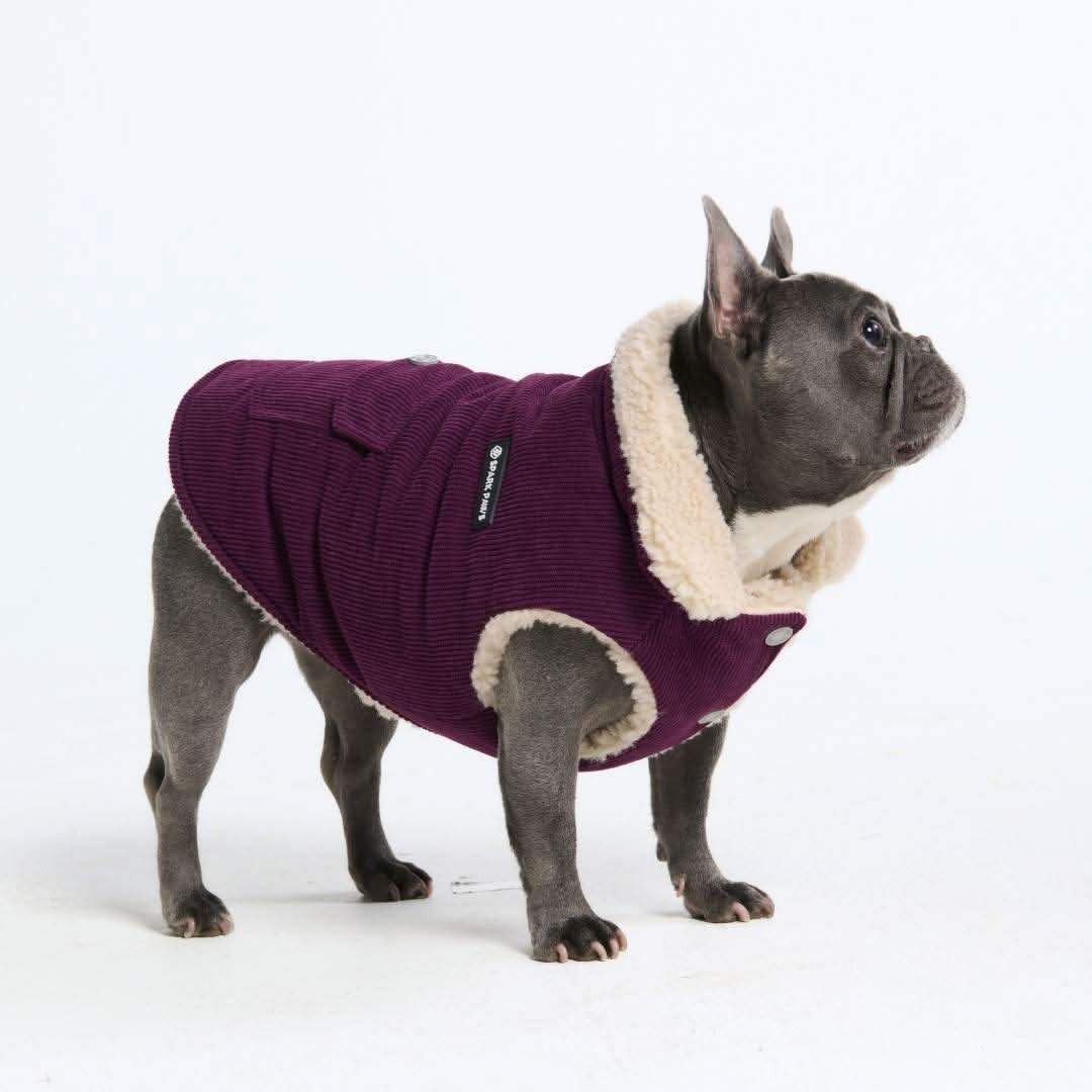 Corduroy Insulated Jacket - Purple