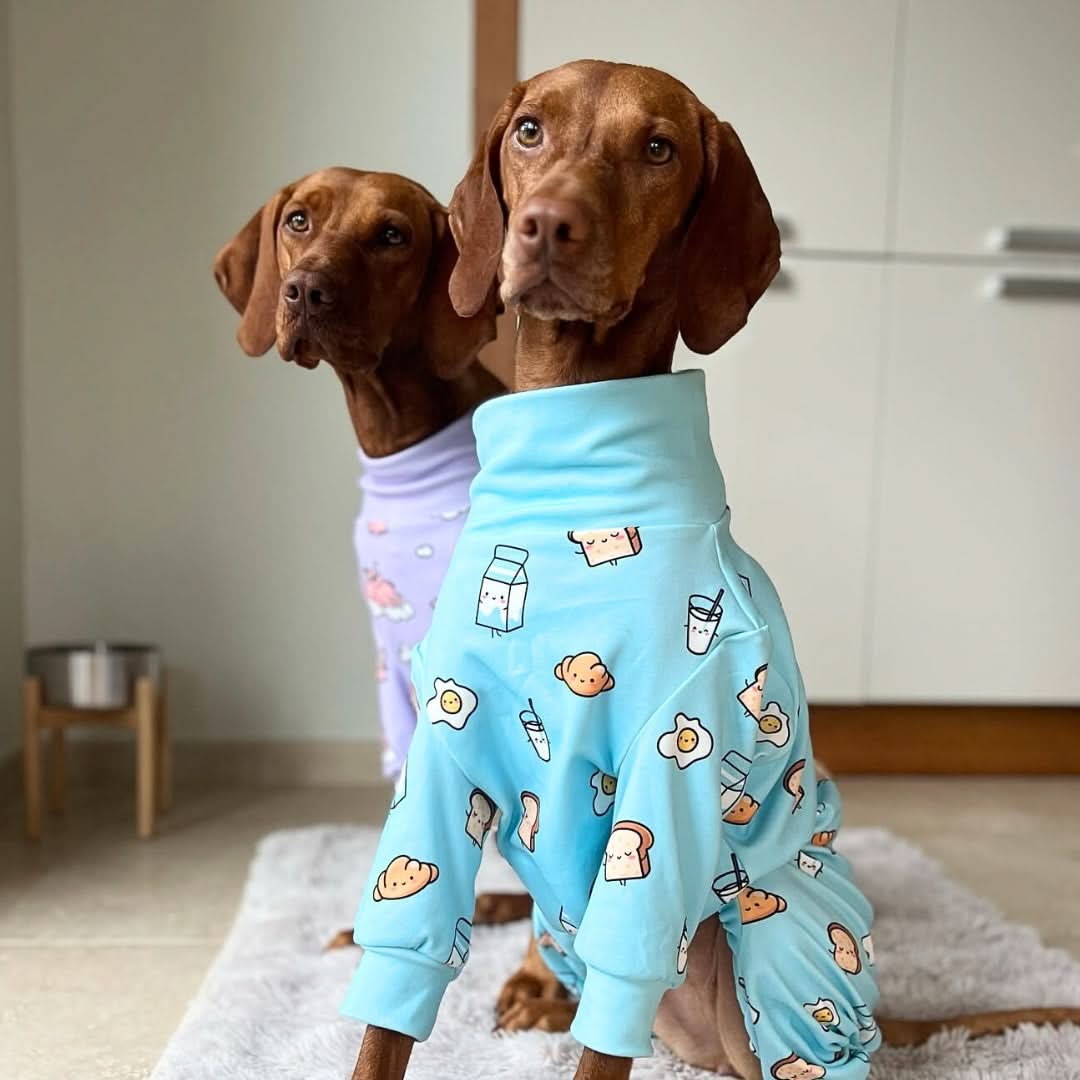 Dog Pajama Prints