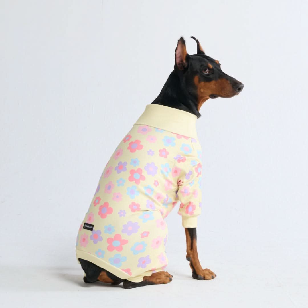 Dog Pajama Prints