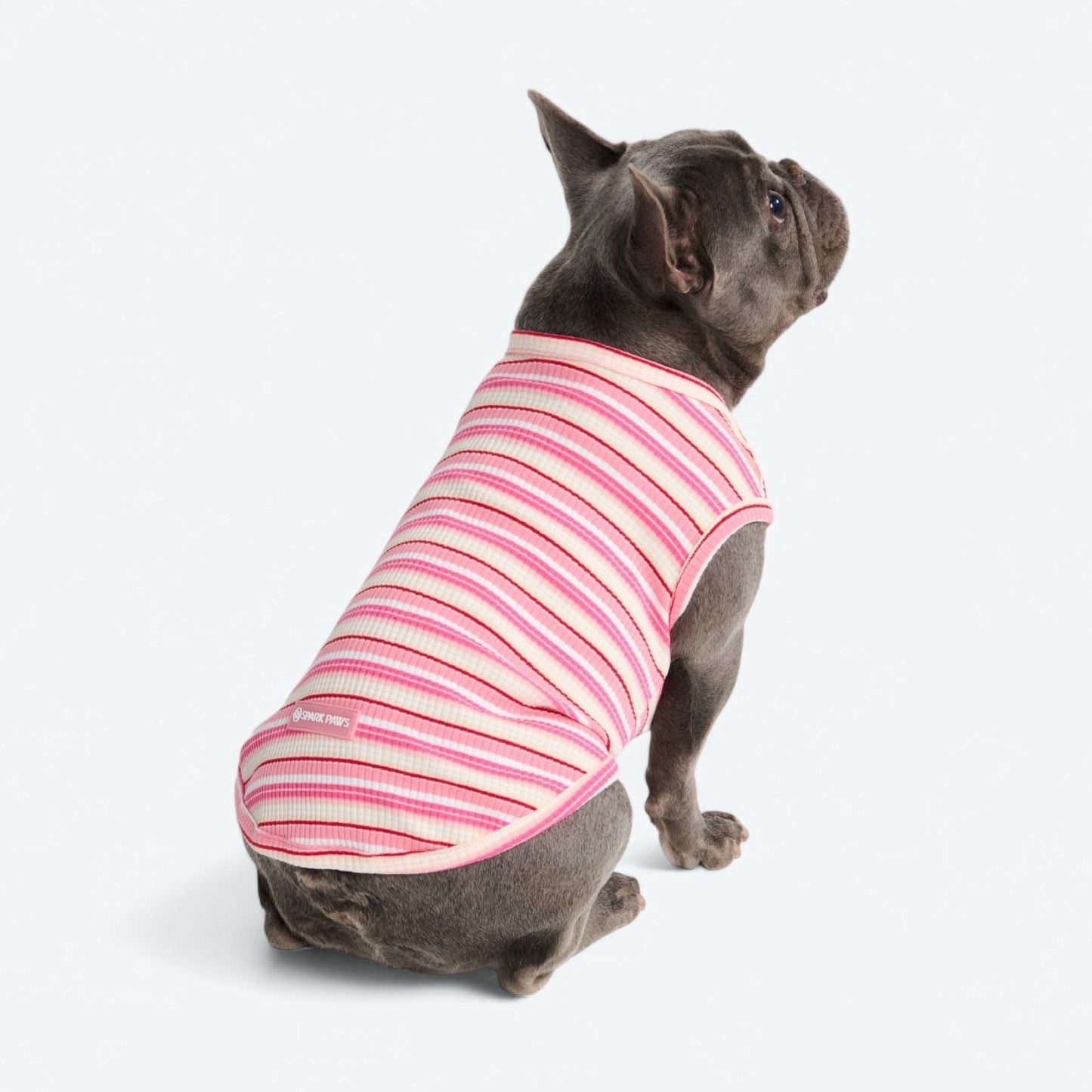 Stripe Shirt