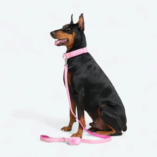 Comfort Control Collar Set - Pink