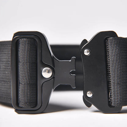 Comfort Control Dog Collars