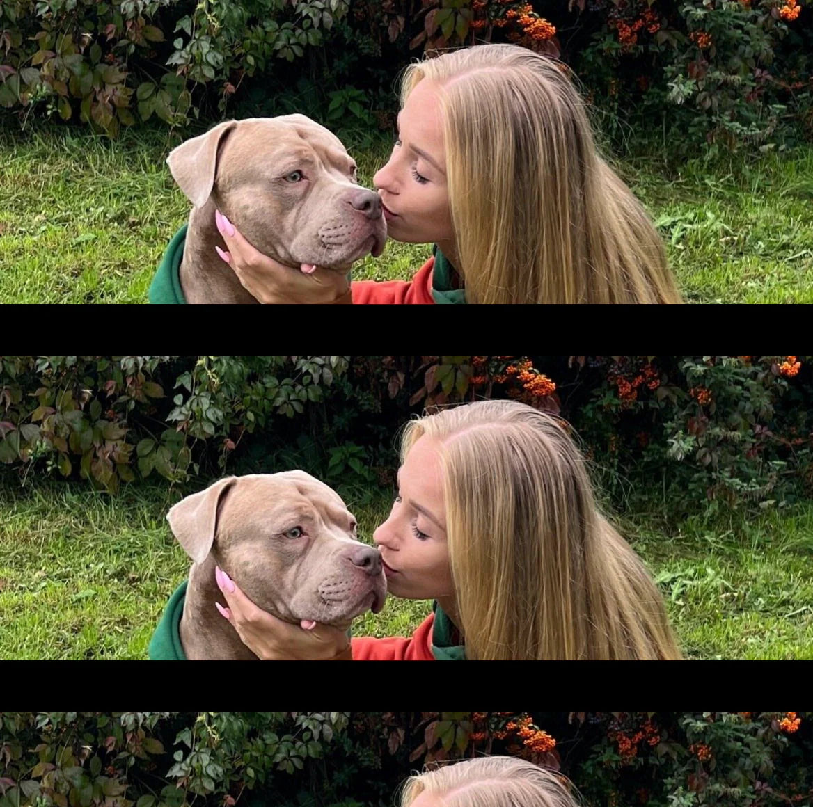 Ranger Dog Hoodie