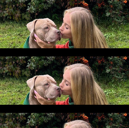 Ranger Dog Hoodie