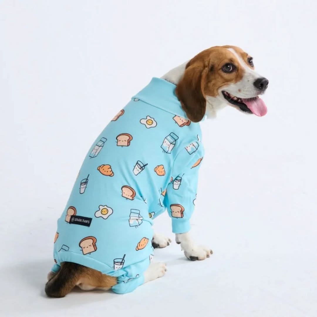Matching Human Pajama Pants