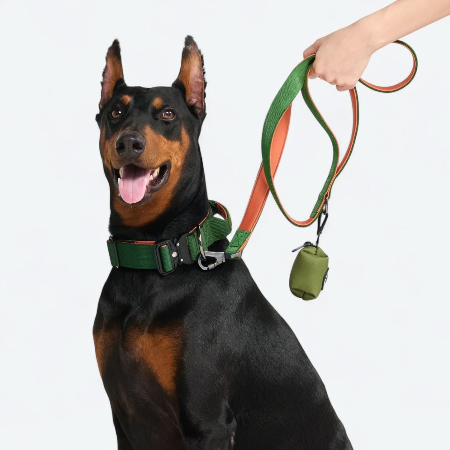 Comfort Control Dog Collars