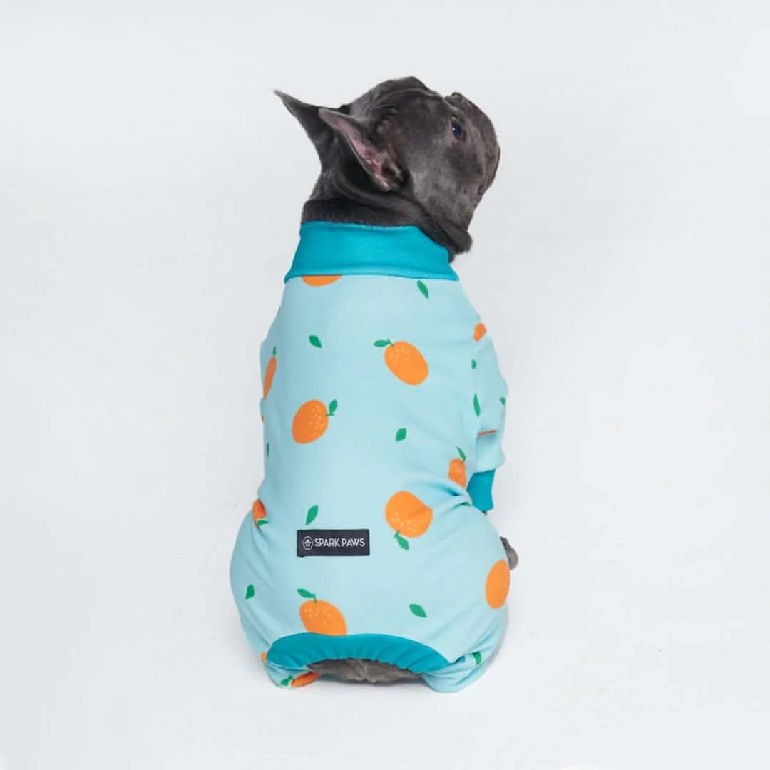 Dog Pajama Prints