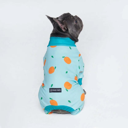 Dog Pajama Prints