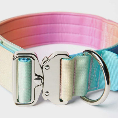 Comfort Control Dog Collars