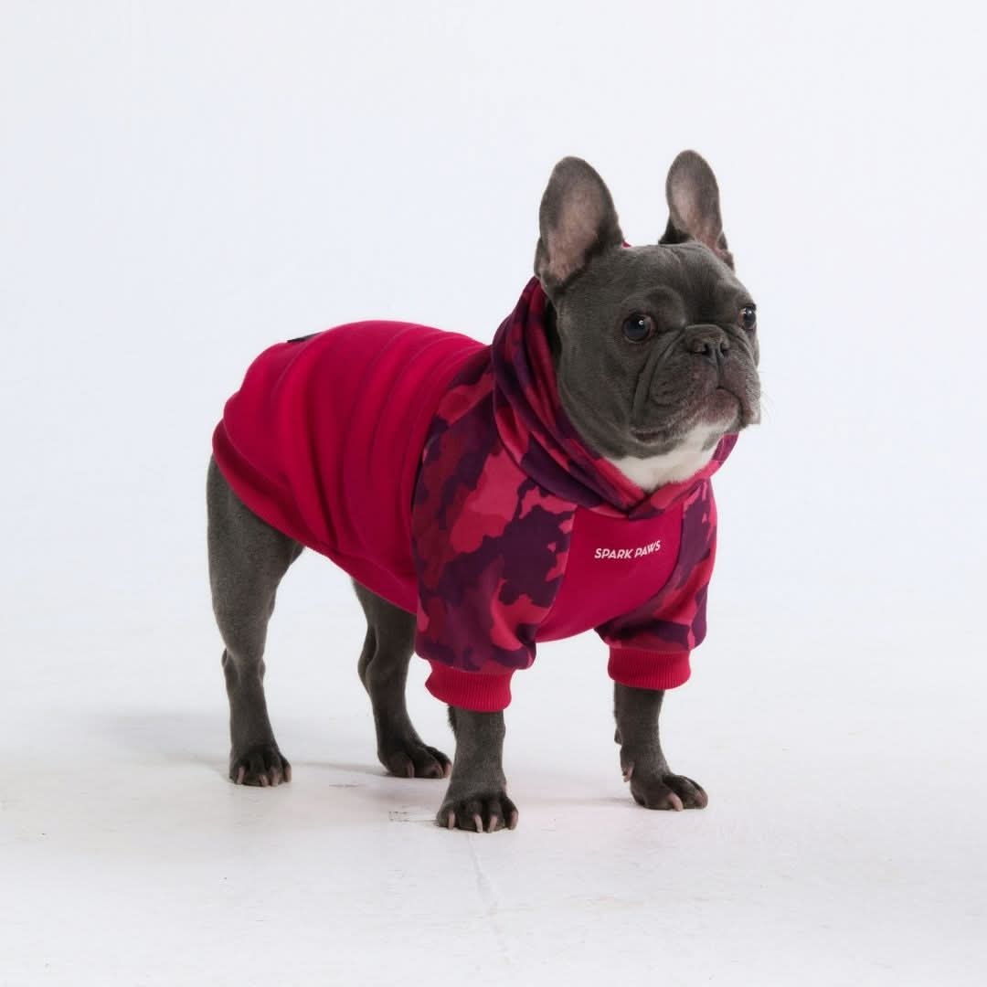 Camo Dog Hoodies