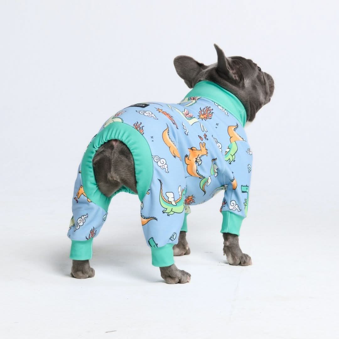 Dog Pajama Prints