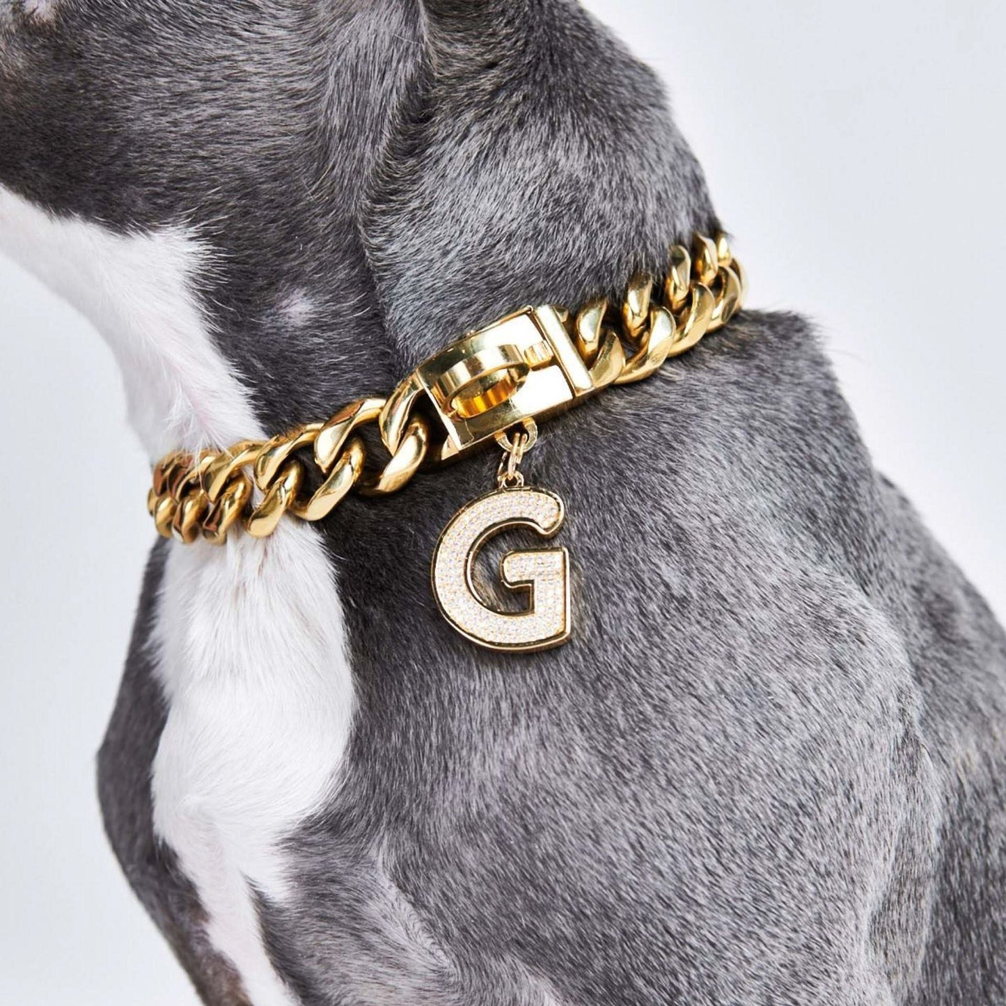 Initial Letter Jewelry Tag - G
