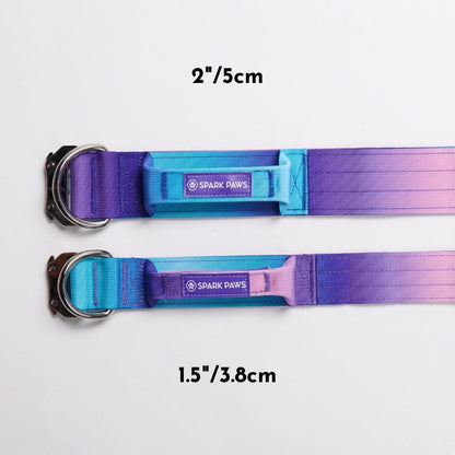 Comfort Control Dog Collar Sets