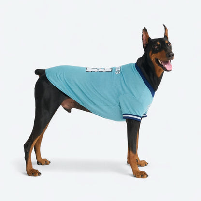 Football Mesh Jersey - Blue