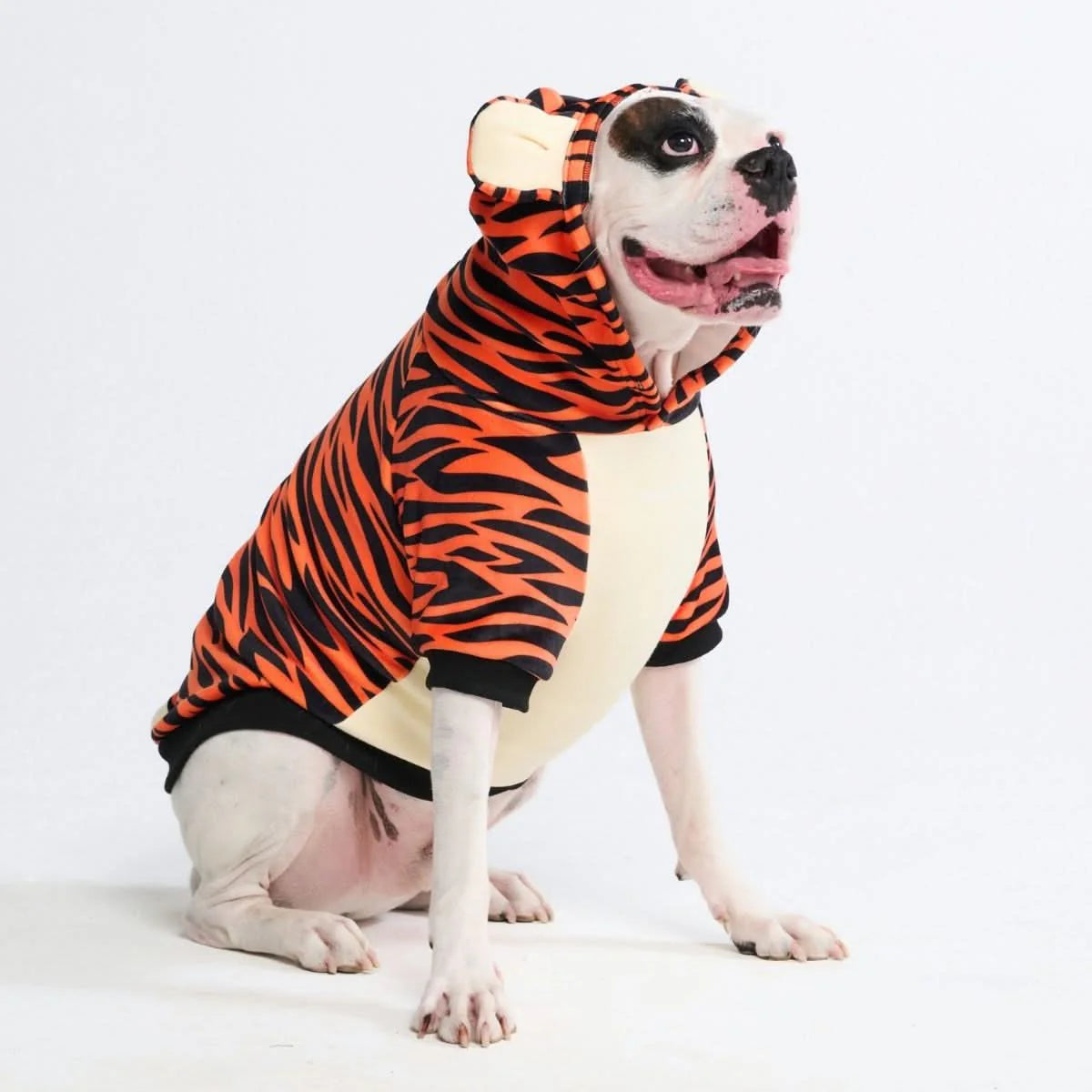 Halloween Dog Hoodie - Tiger