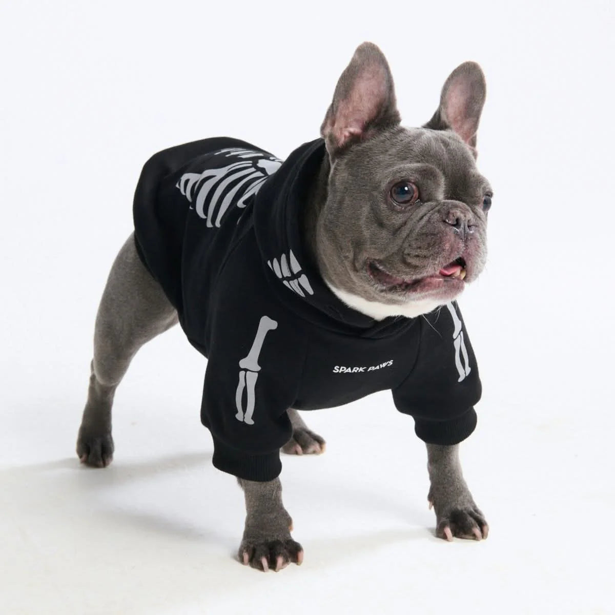 Halloween Dog Hoodies (Limited Edition)