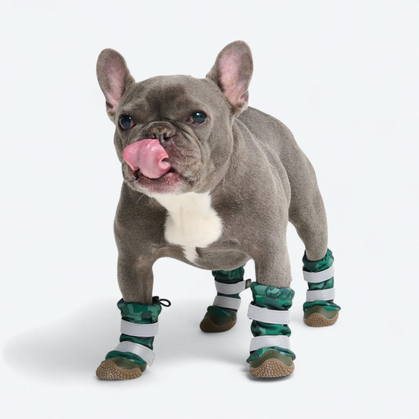 Flex Shell Water-resistant Dog Boots