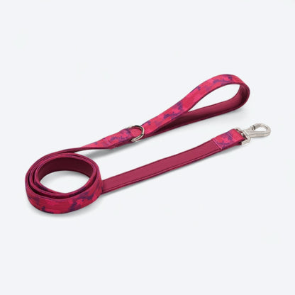 Comfort Control Dog Collars