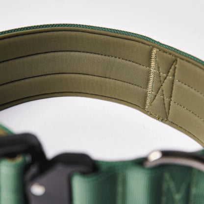 Comfort Control Dog Collars