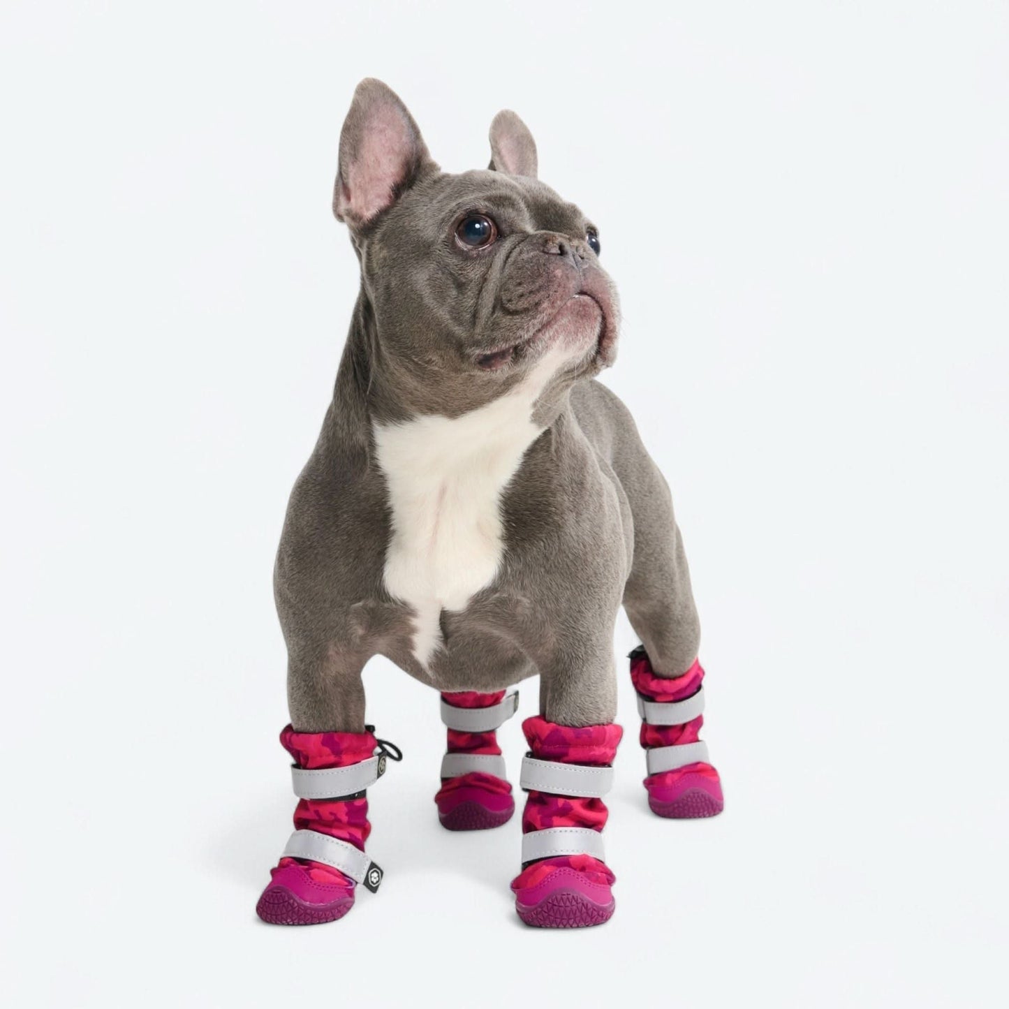 Flex Shell Water-resistant Dog Boots - Fuchsia Camo