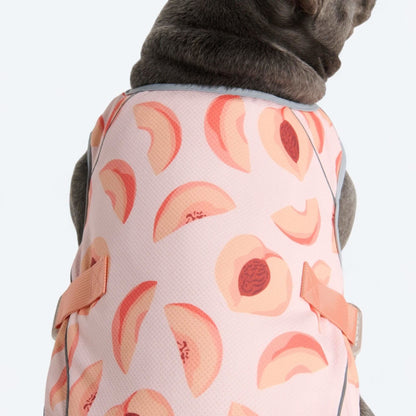 Chilltech™ Dog Cooling Vests