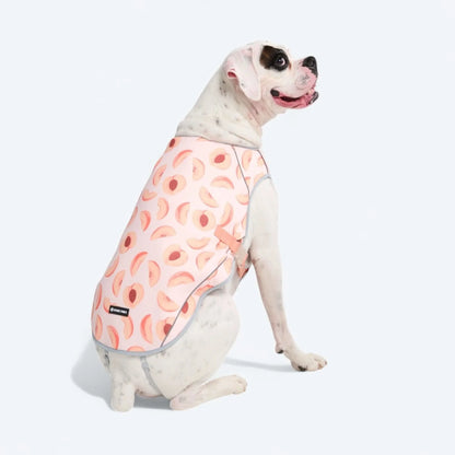 Chilltech™ Dog Cooling Vests