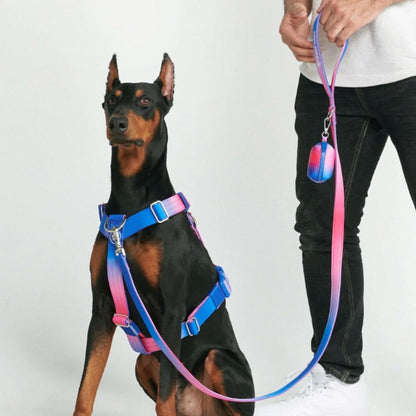 Leash and Poop Bag Holder Set