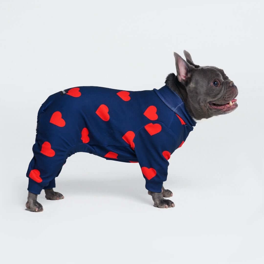 Dog Pajama Prints