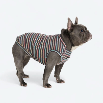 Stripe Shirt - Black Coral