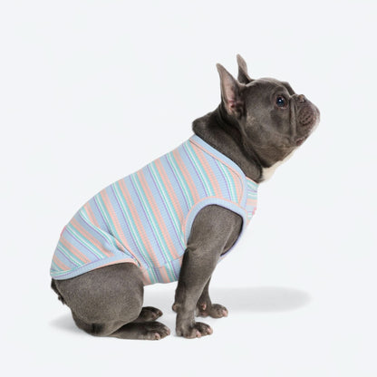 Stripe Shirt - Blue Coral