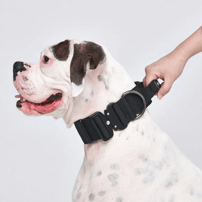 Comfort Control Dog Collars