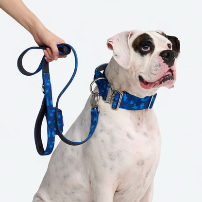 Comfort Control Dog Collars