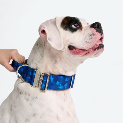 Comfort Control Dog Collars
