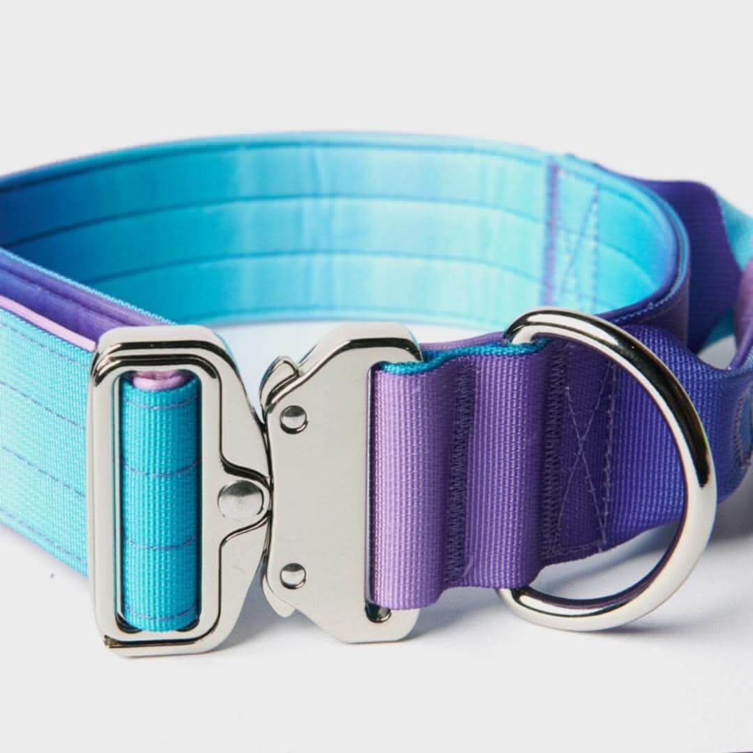 Comfort Control Dog Collars