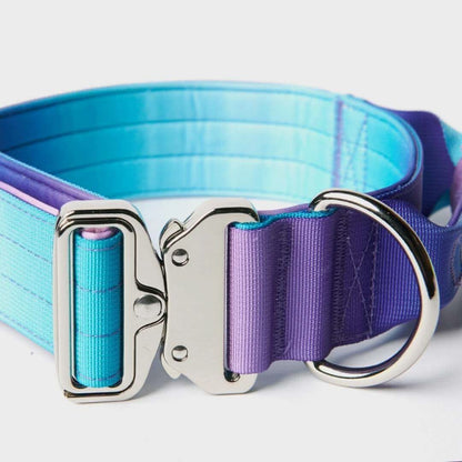 Comfort Control Dog Collars