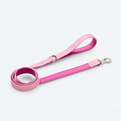 Comfort Control Dog Collar Sets