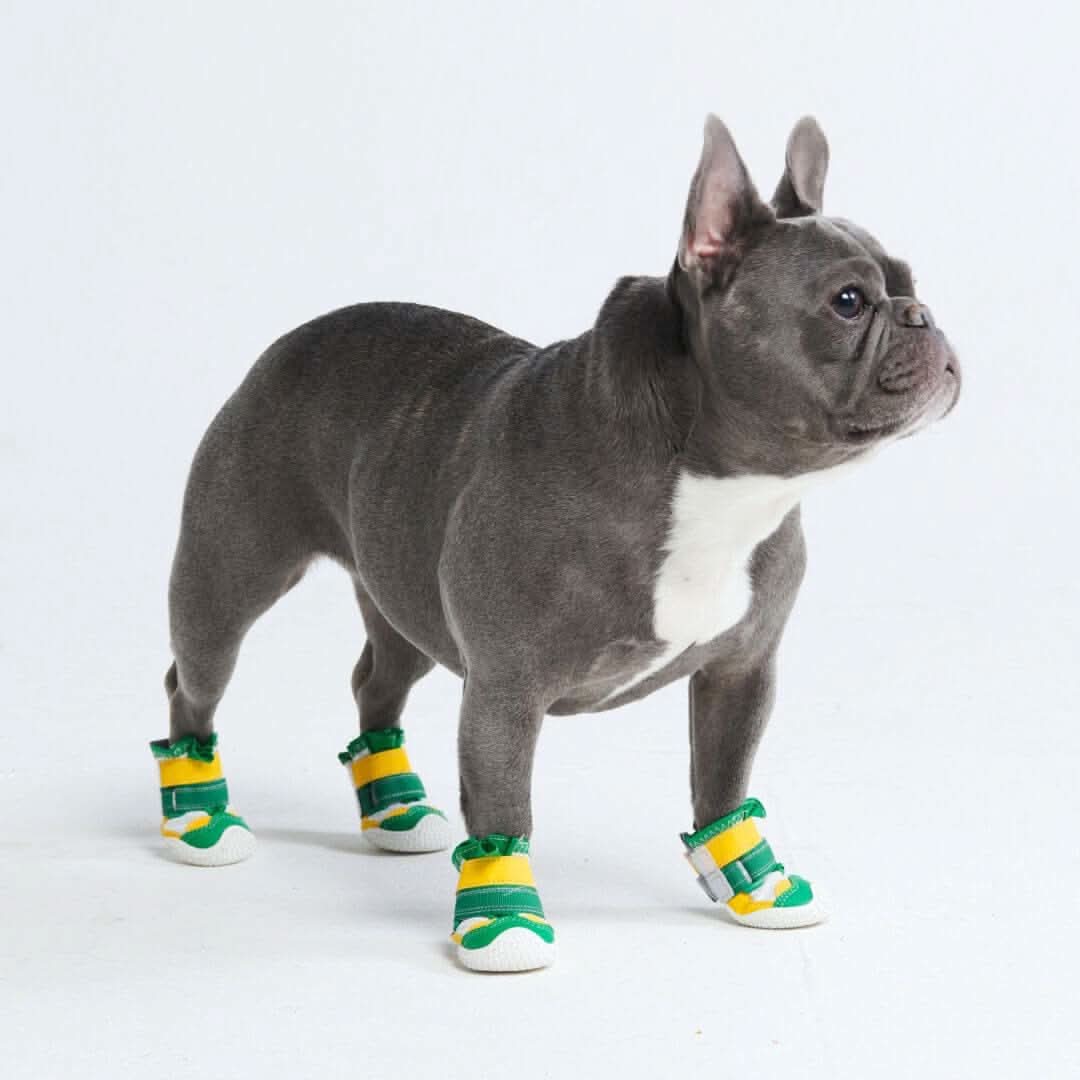 Hot Pavement Pawtector Dog Shoes