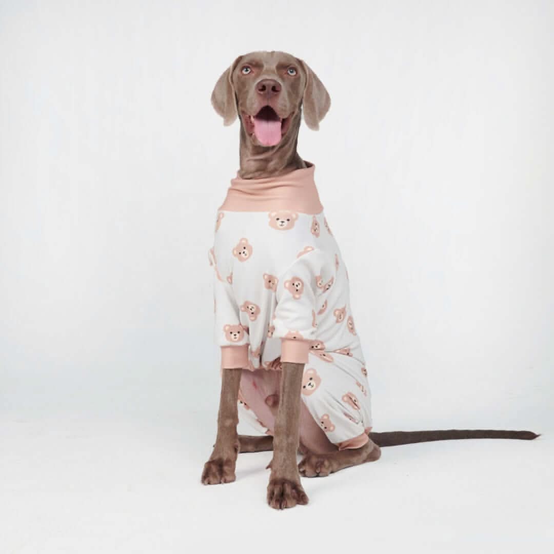 Dog Pajama Prints