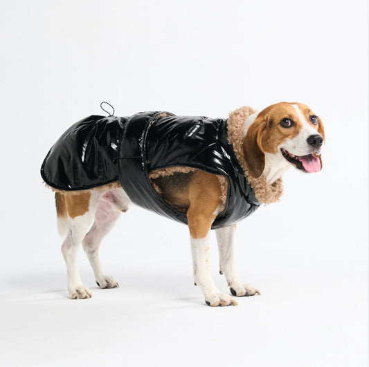 Slip-on Insulated Jacket - Gloss Black