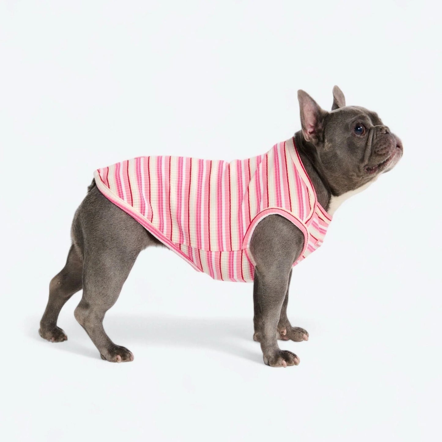 Stripe Shirt - Pink Red