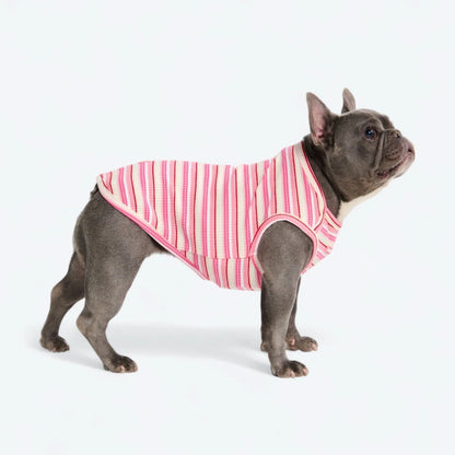 Stripe Shirt - Pink Red