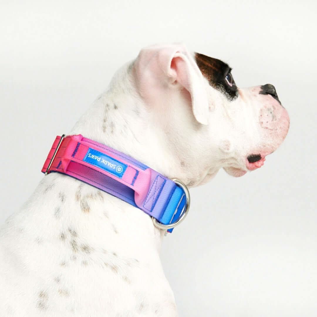 Comfort Control Dog Collars