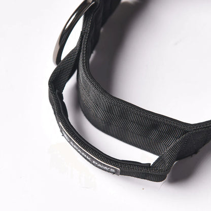 Comfort Control Dog Collars