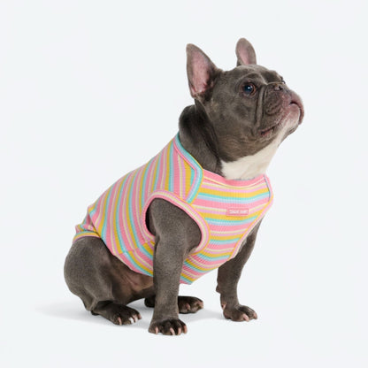 Stripe Shirt