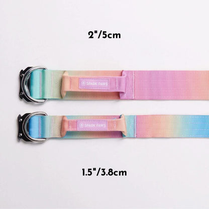 Comfort Control Dog Collars