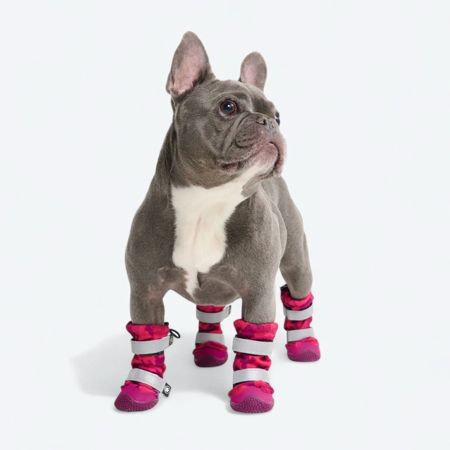 Flex Shell Water-resistant Dog Boots - Fuchsia Camo