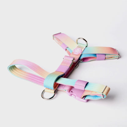 Comfort Control No-Pull Harness Sets